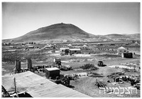 שדמות דבורה 10.1946.