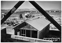 שדמות דבורה 10.1946.