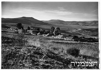 מצפה.