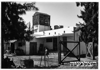 כפר מלל תנובה.