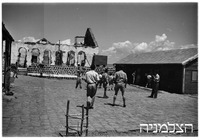 פוריה.
