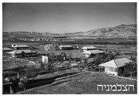 עמיר.