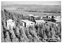 עמיר.