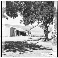 מצובה 1942.