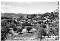 אבו גוש מראה כללי.