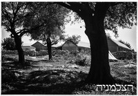 מצובה 1942.