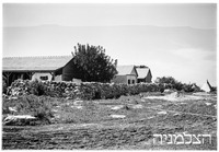 מצובה 1942.