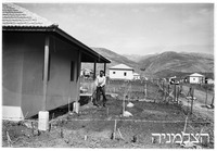 שער ישוב.
