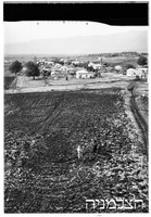 שער ישוב.