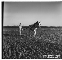 רודגס- מזרחי 12/1946 RODGES.