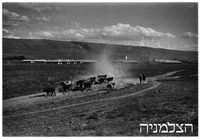 אמיר.