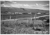 אמיר.