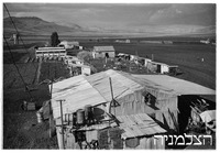 כפר חיטים.
