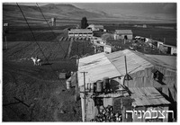 כפר חיטים.