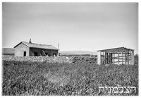 שער ישוב.