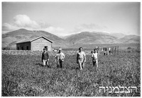 שער ישוב.
