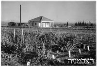 יוקנעם.