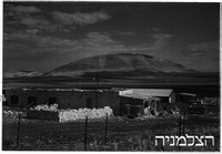 דוברת.