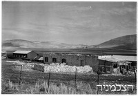 דוברת.