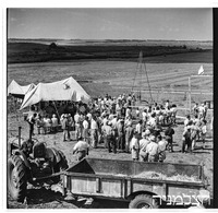 קרני חיטים 9/1948.