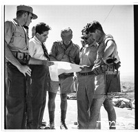 קרני חיטים 9/1948.