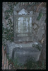 Photograph of: Jewish cemetery in Kotor : Tombstone.