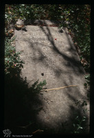 Photograph of: Jewish cemetery in Kotor : Tombstone.