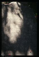 Photograph of: Jewish cemetery in Kotor : Tombstone.