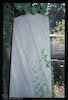 Photograph of: Jewish cemetery in Kotor : Tombstone.