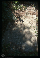 Photograph of: Jewish cemetery in Kotor : Tombstone.