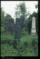 Photograph of: Jewish cemetery in Vinkovci : Tombstones.