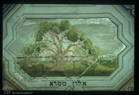 Photograph of: Kupa Synagogue in Kraków - Ceiling - Holy places : Wall painting.