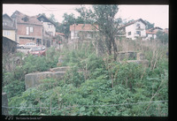 Photograph of: Jewish cemetery in Novi Pazar : Tombstone.