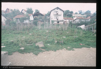 Photograph of: Jewish cemetery in Novi Pazar : Tombstone.