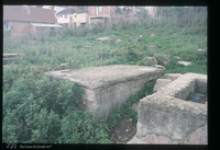 Photograph of: Jewish cemetery in Novi Pazar : Tombstone.