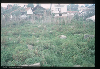 Photograph of: Jewish cemetery in Novi Pazar : Tombstone.