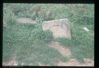 Photograph of: Jewish cemetery in Novi Pazar : Tombstone.