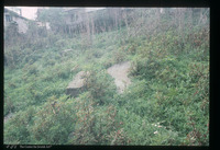 Photograph of: Jewish cemetery in Novi Pazar : Tombstone.