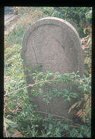 Photograph of: Jewish cemetery in Pećinci : Tombstone.