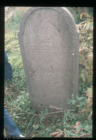 Photograph of: Jewish cemetery in Pećinci : Tombstone.