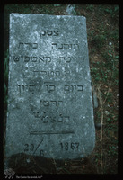 Photograph of: Jewish cemetery in Split : Tombstones.