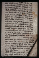 Photograph of: Esther Scroll, Azerbaijan : Esther Scroll.