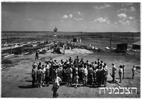 תל יצחק נוה הדסה.