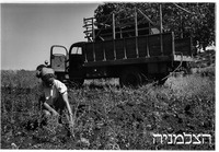 יפתח.