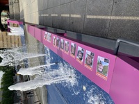 Posters Of Some Hostages (2).