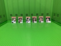 Posters Of Some Hostages (4).