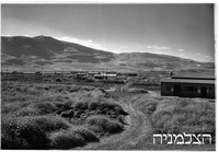 דוברת תבור 1949.