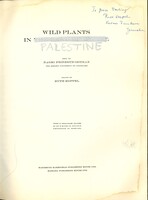 Title Page.