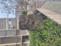 תצלומים ממתחם רעים, קיבוץ בארי (64).