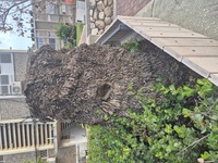 תצלומים ממתחם רעים, קיבוץ בארי (65).